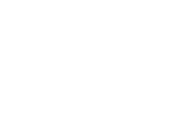 SES Logo